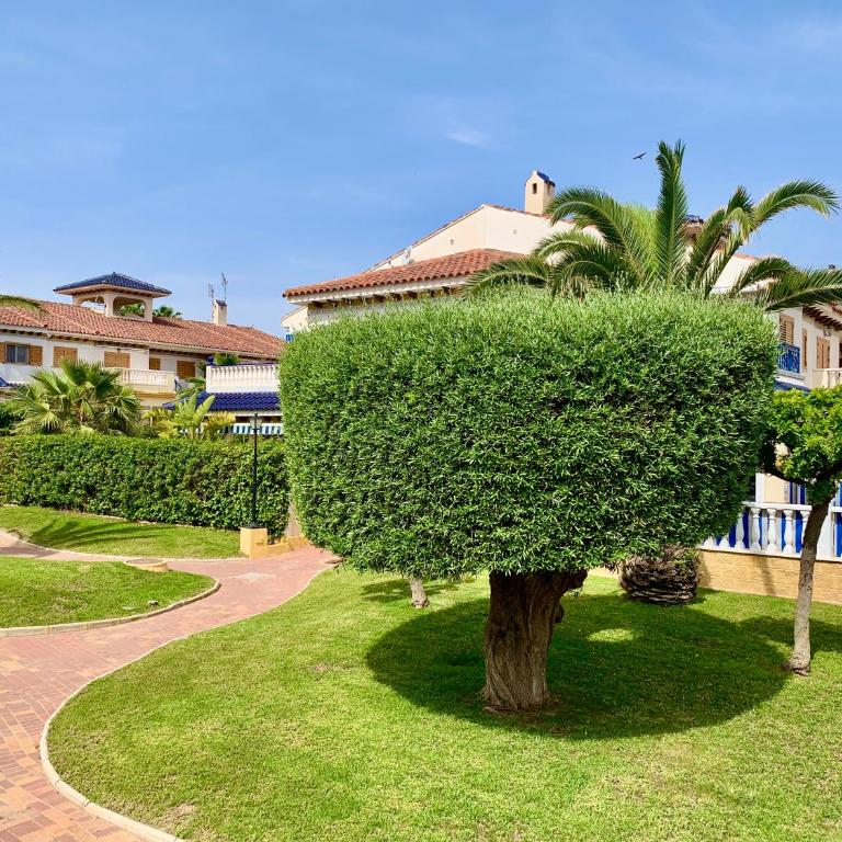 La MATA TULIP - Apartamento de 1 dormitorio - 28