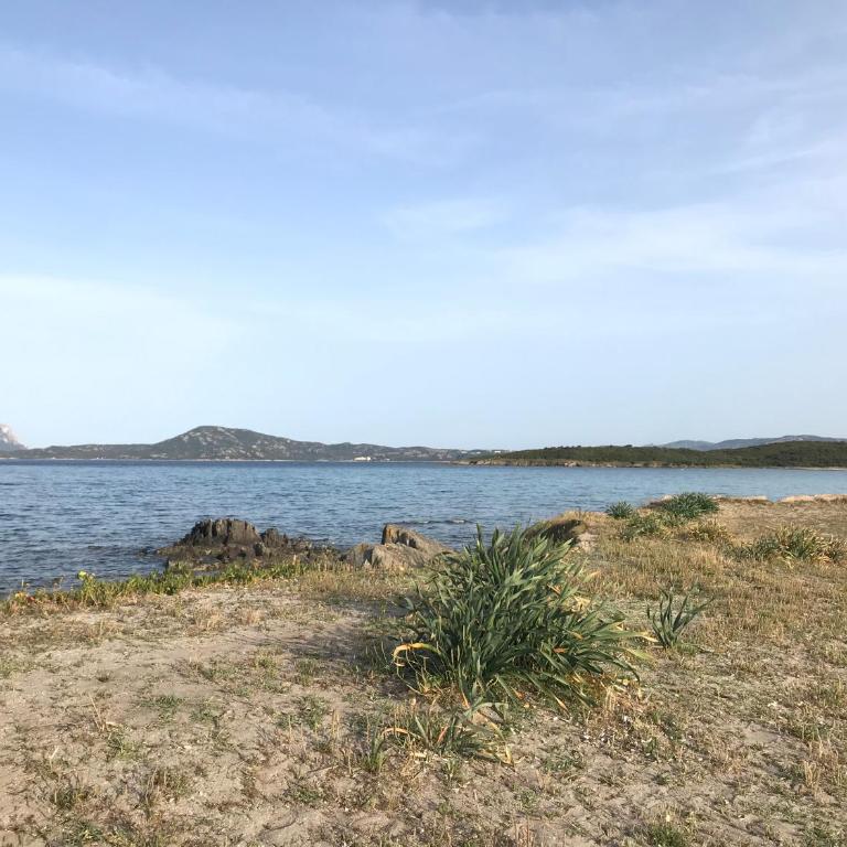 Olbia House - Appartamento con 1 Camera da Letto - 26