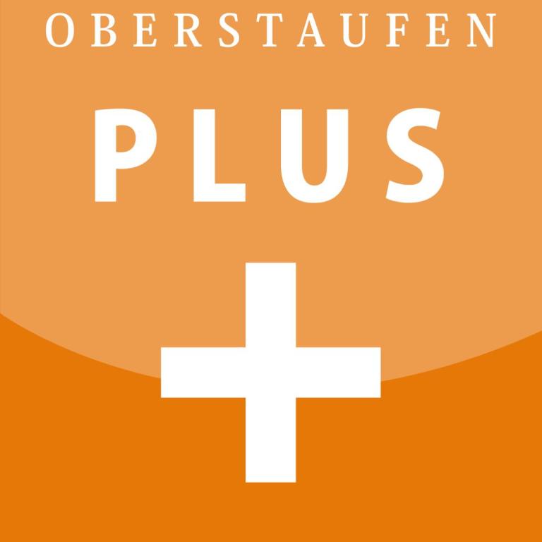FeWo Stegenbach Oberstaufen/Steibis - Apartment mit 3 Schlafzimmern - 3