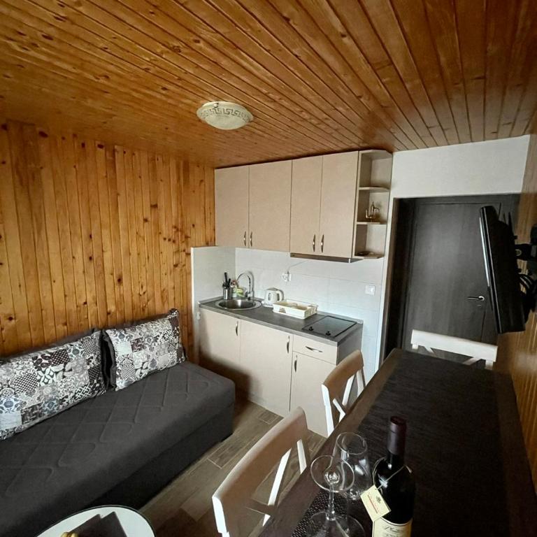 Kosta’s apartments - Apartman sa 1 Spavaćom Sobom - 4