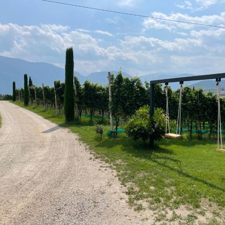 Bühel im Gschleier - Appartamento con 1 Camera da Letto - 10