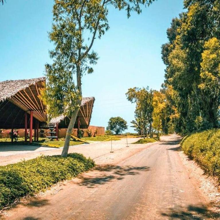 HOP BUZIOS exclusiva oasis y playa en Chincha - Three-Bedroom Villa - 10