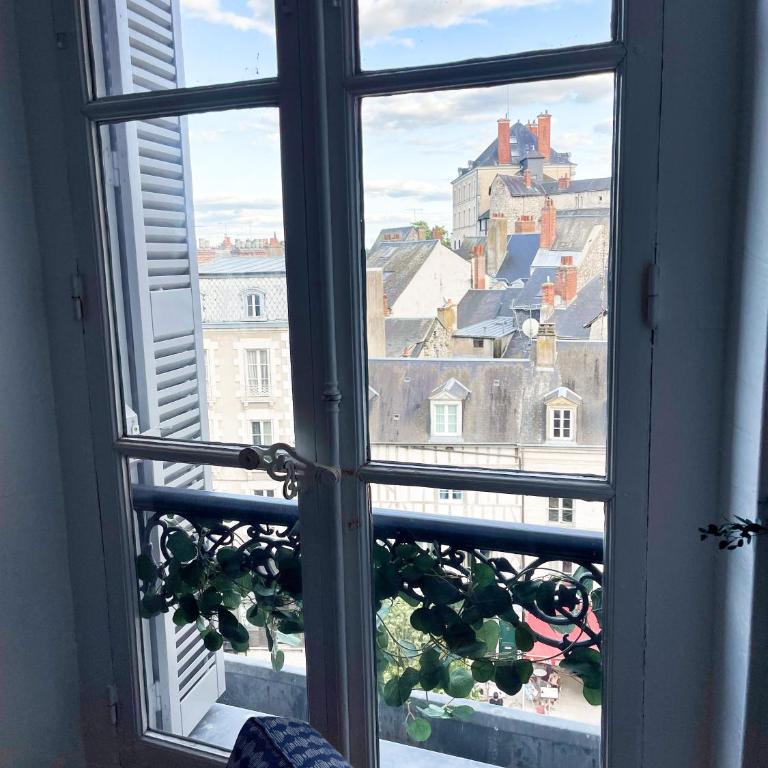☆ Sur les toits de Blois ☆ T2 avec vue Château - Apartment mit 1 Schlafzimmer - 5