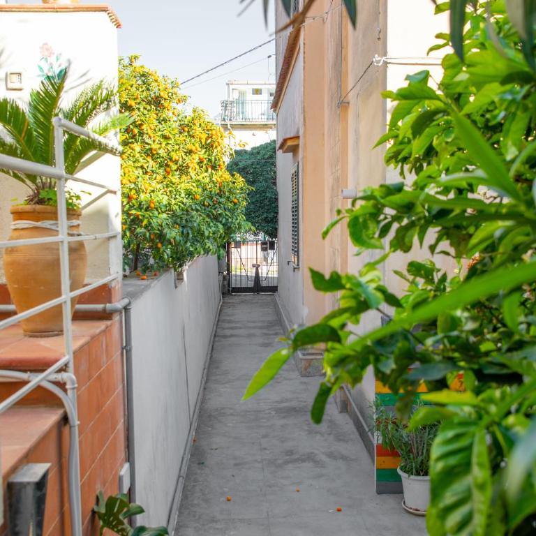 Casa BabbaLuciana - Appartamento con 2 Camere da Letto - 4