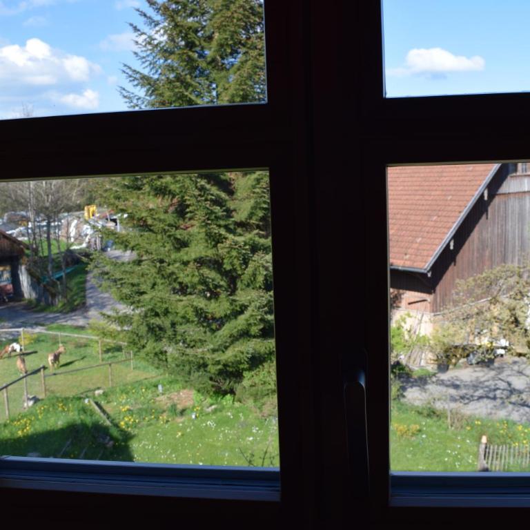 Holstein-Höfle - Gipfelstüble - Appartamento con Vista Giardino - 12