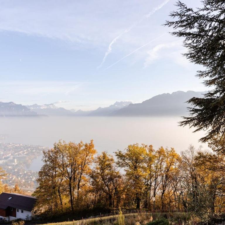 Lavaux Lodge - Romantic escape with magic views! - Villa mit Gartenblick - 49