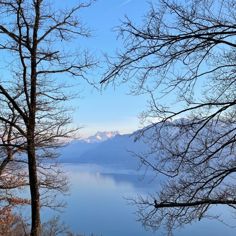 Lavaux Lodge - Romantic escape with magic views! - Villa mit Gartenblick - 55