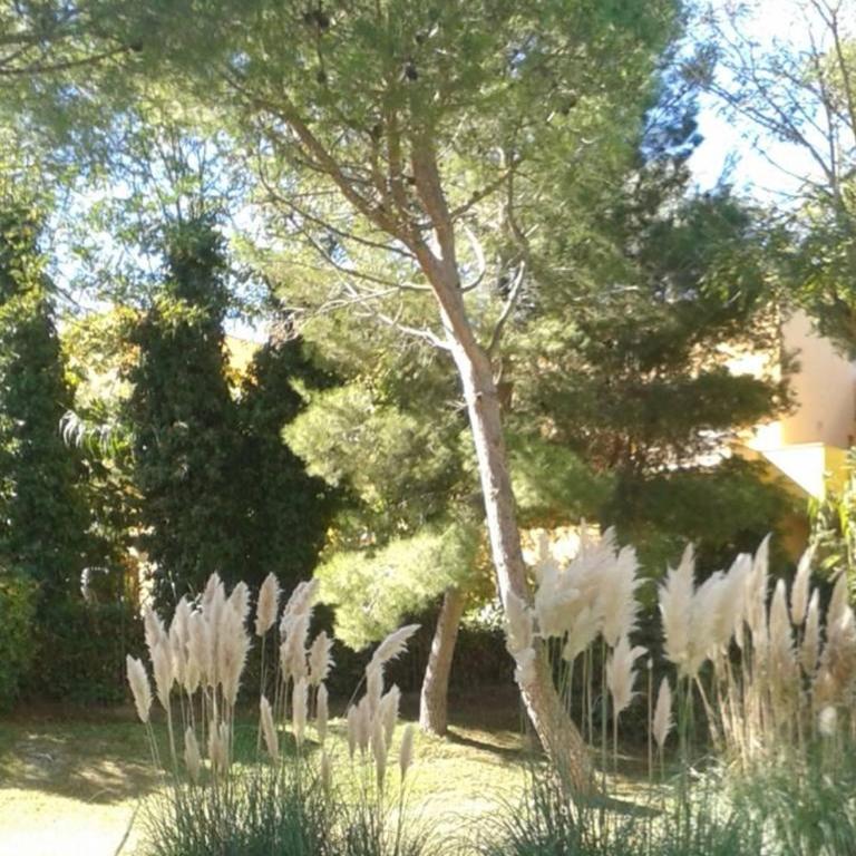 Appartement T3 pour 6 pers, terrasse, proche plage - FR-1-607-1 - Appartement (6 Adultes) - 2