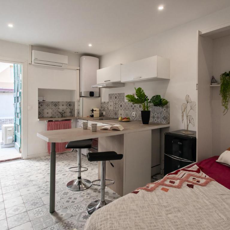 Cannes Hyper Centre climatisé - Appartement 1 Chambre - 6