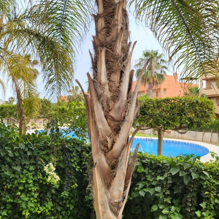 ¡Bajo extraordinario con vistas a la piscina y terraza! - Apartamento de 2 dormitorios - 28