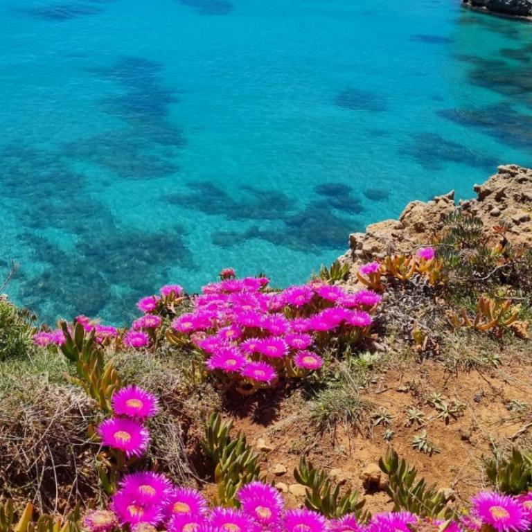 Casa Vacanze AFEA Torre dell'Orso Salento Puglia - Appartamento con 2 Camere da Letto - 38