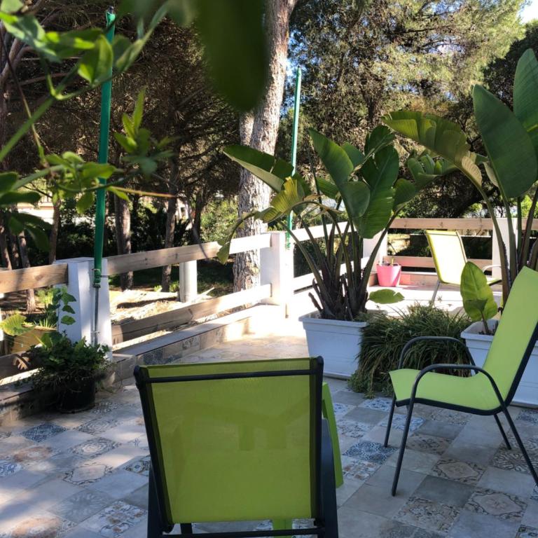 Casa Rural Los Pepe Sancti Petri - Apartamento Dúplex - 5