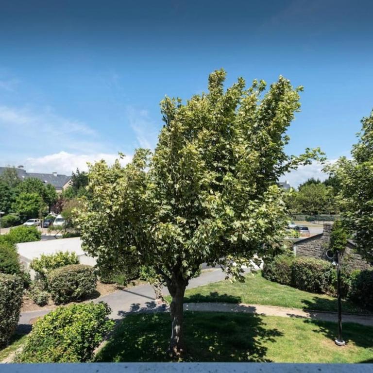 1101 - Appartement 1 Chambre - 14