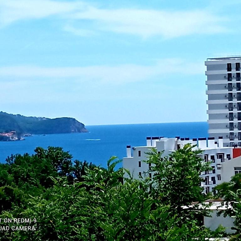 Monterus apartment with sea view in Becici - One-Bedroom Apartment - 1