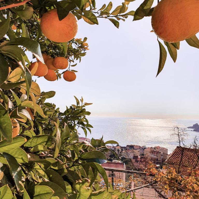 Apartman Lana - Apartman sa 2 Spavaće Sobe - 1