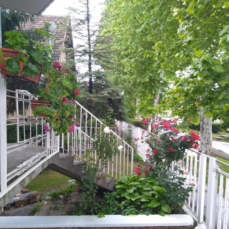 Sandrea I Apartment - Two-Bedroom Apartment - 12