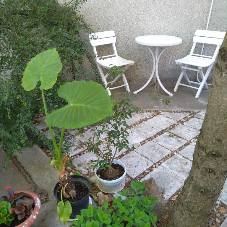 Sandrea I Apartment - Two-Bedroom Apartment - 16