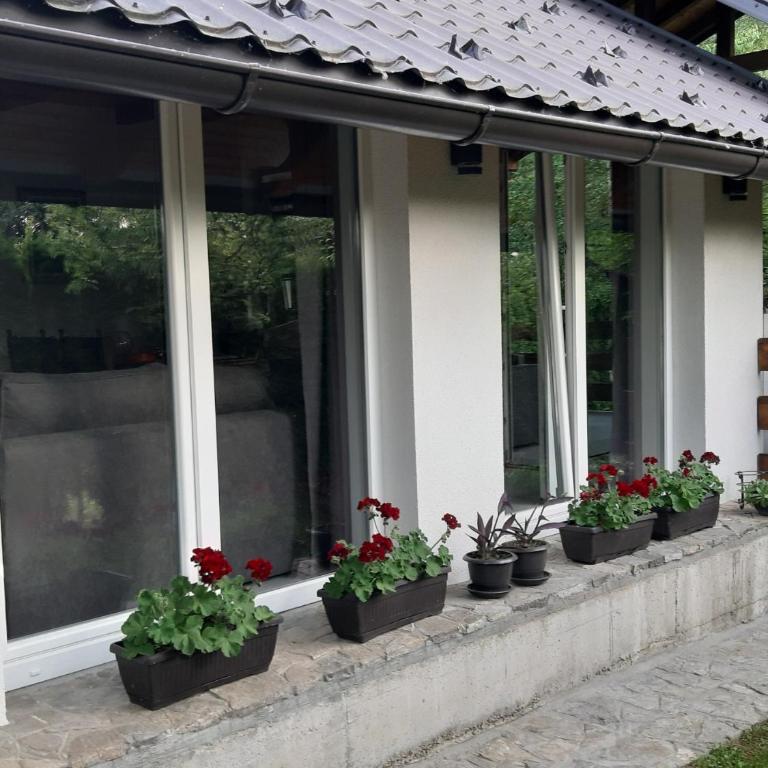 Lahor - One-Bedroom House - 21