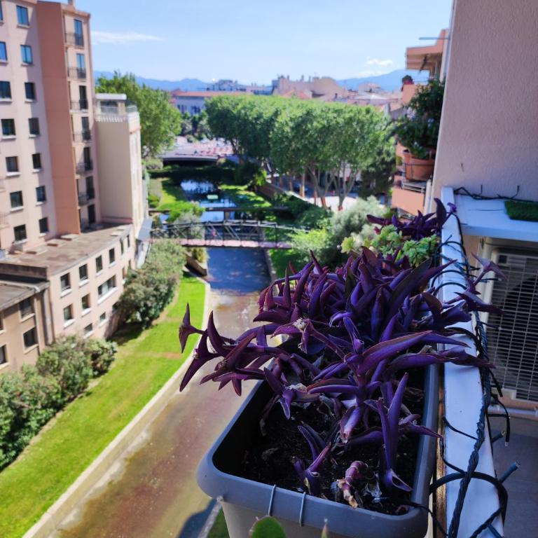 Le balcon de la basse centre ville de Perpignan - Apartamento de 1 dormitorio - 16