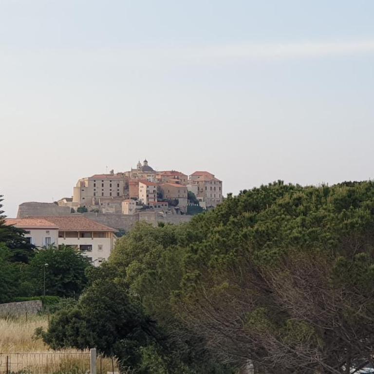 Très bel appartement,proche plage et centre ville. - Appartement 2 Chambres - 13