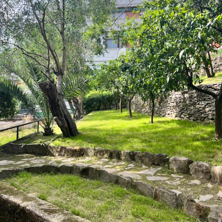 Blue Garden - Appartamento - 4