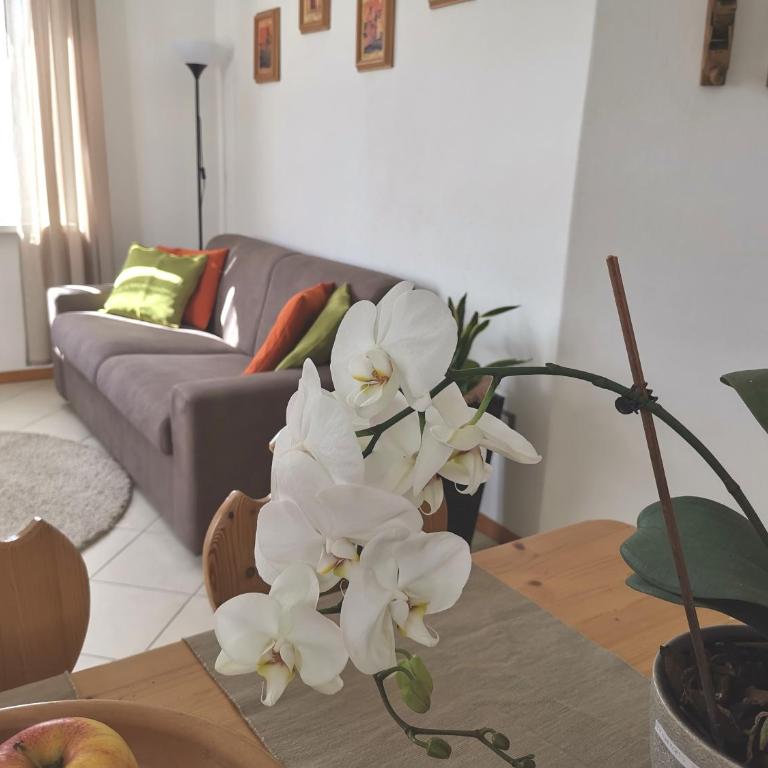 Appartamenti Casa Prandel - Appartement - 4
