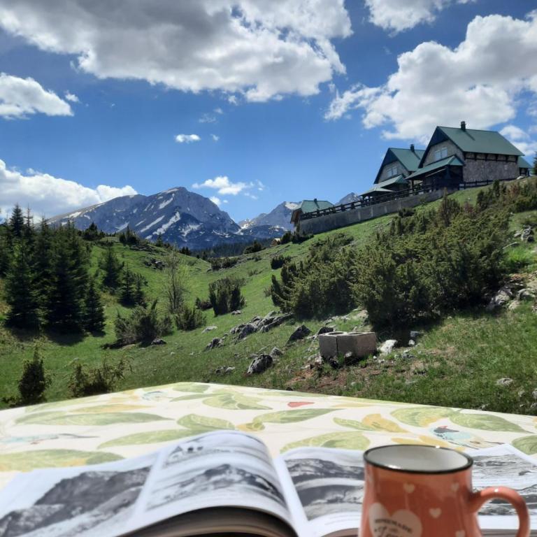 Apartmani 1490 - Studio - 1
