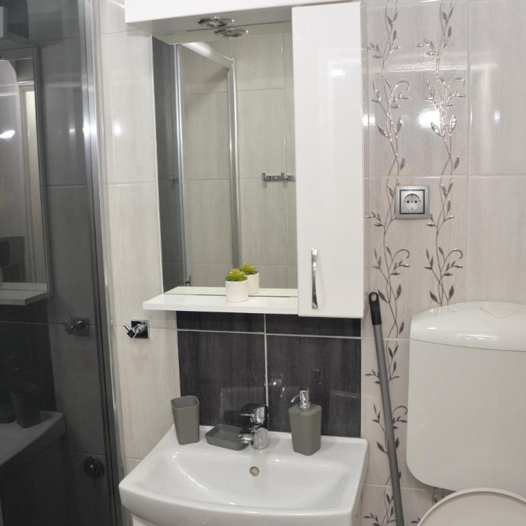 Milivojevic - Apartman sa Balkonom - 31