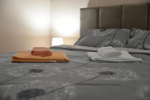 Milivojevic - Apartman sa Balkonom - 8