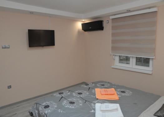 Milivojevic - Apartman sa Balkonom - 10