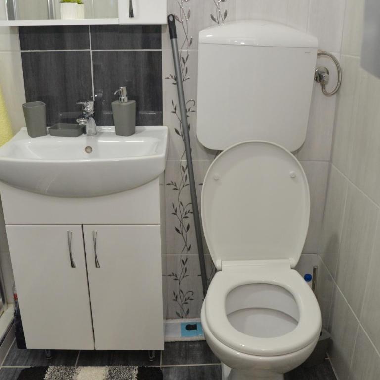 Milivojevic - Apartman sa Balkonom - 35