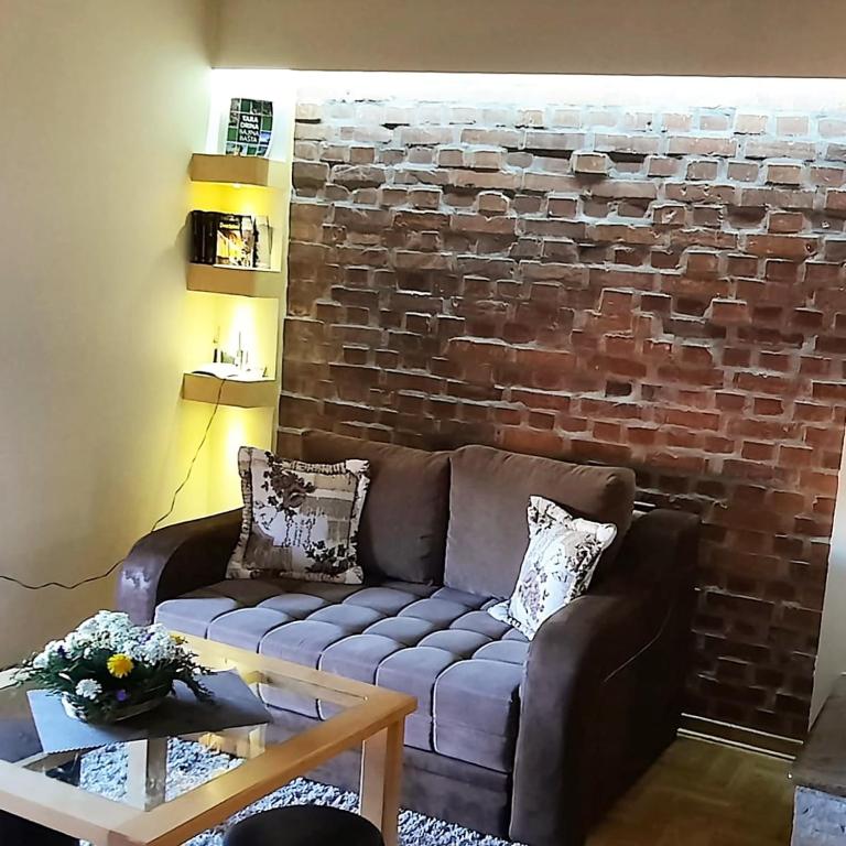 Tara Apartmani Malešević - 2 - Studio apartman sa 1 bračnim krevetom - 5
