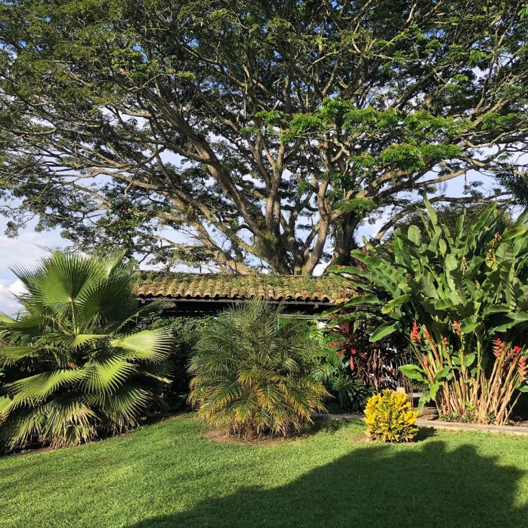 Finca Hotel Brasilia - Seven-Bedroom House - 13