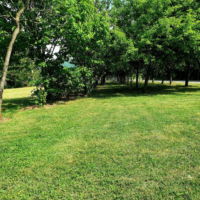 Natural Cottage Una - Vacation Home - 56