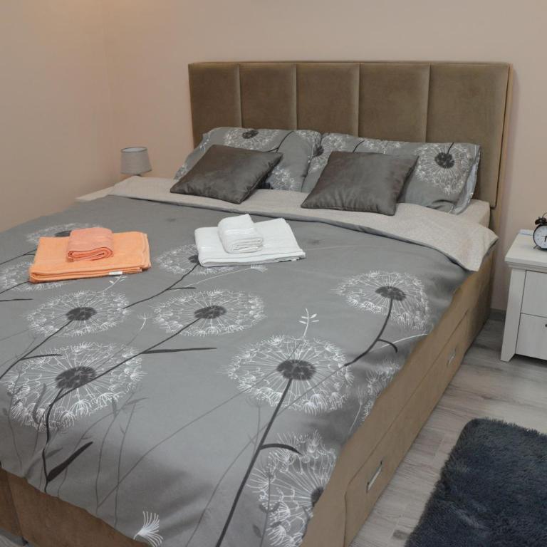 Milivojevic - Apartman sa Balkonom - 4