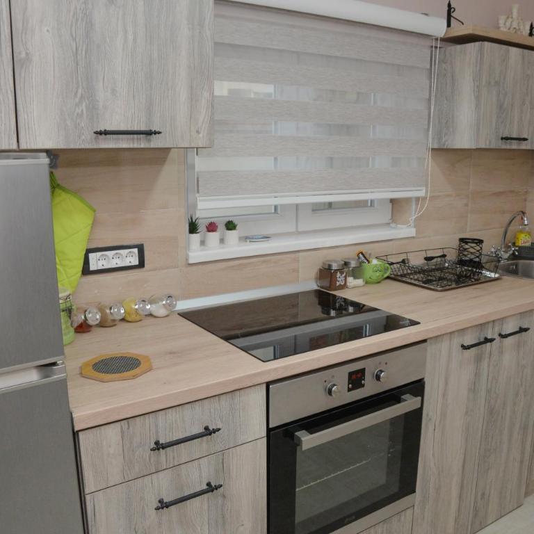Milivojevic - Apartman sa Balkonom - 21