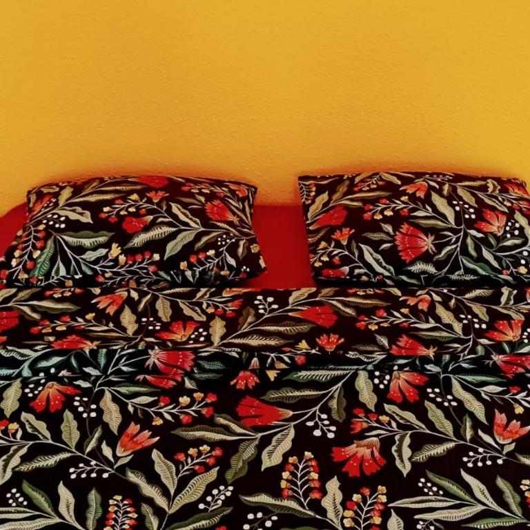 Olé Olé Bazan - Apartamento - 7