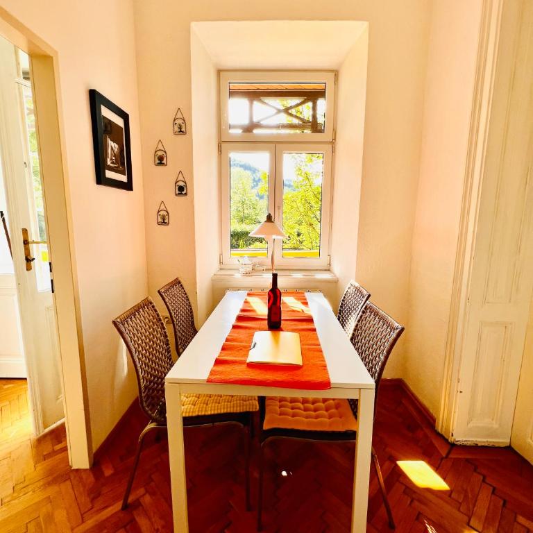 Villa Traun - Apartment mit Balkon (Top4) - 10