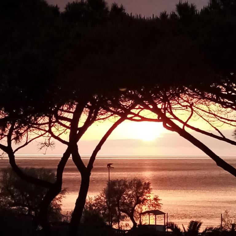 Le Maree Marina - Appartamento con 2 Camere da Letto - 5