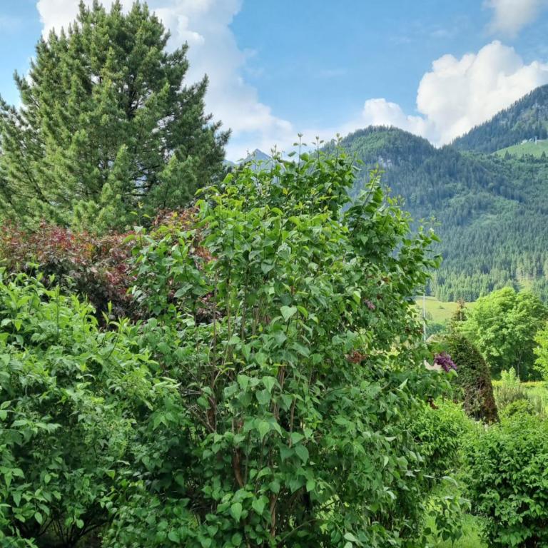 Landhaus Via Decia - Bad Hindelang PLUS Partner - Apartment mit Terrasse - 5