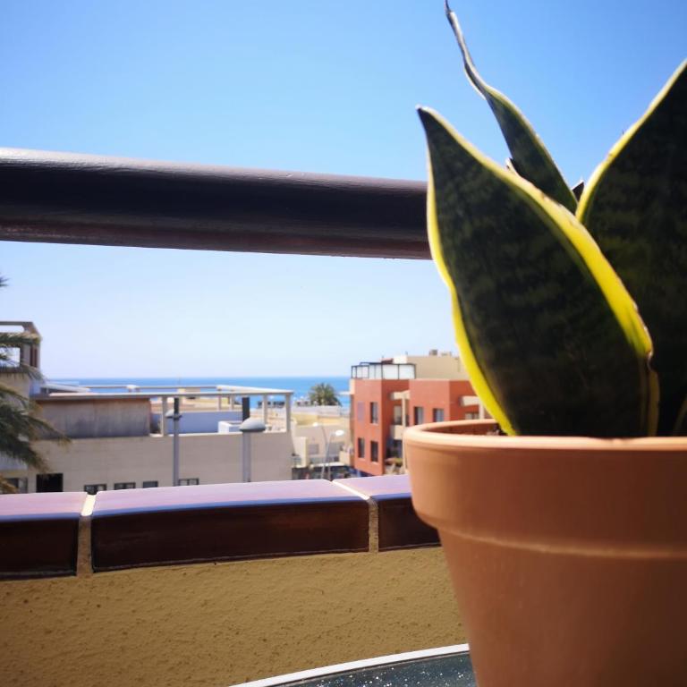 Casa Árida, Morro Jable - Apartamento de 2 dormitorios - 1
