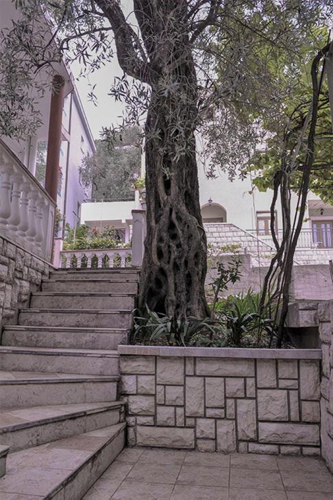 Vila Mila - Apartman sa 1 Spavaćom Sobom - 10