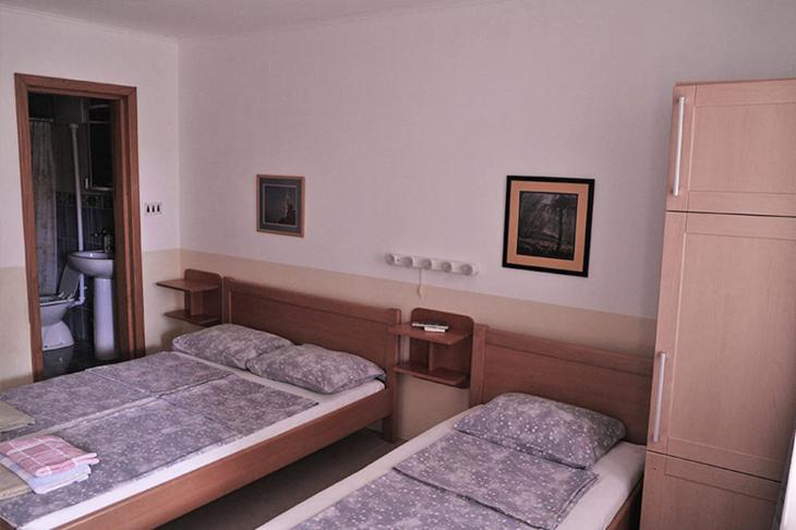 Vila Mila - Apartman sa 1 Spavaćom Sobom - 4