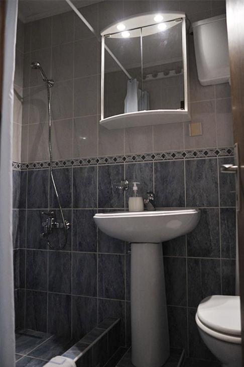Vila Mila - Apartman sa 1 Spavaćom Sobom - 9