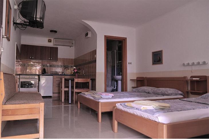 Vila Mila - Apartman sa 1 Spavaćom Sobom - 11