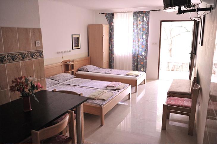 Vila Mila - Apartman sa 1 Spavaćom Sobom - 12