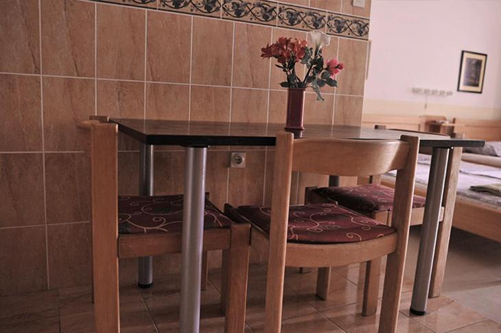 Vila Mila - Apartman sa 1 Spavaćom Sobom - 14