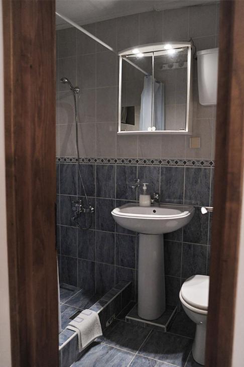 Vila Mila - Apartman sa 1 Spavaćom Sobom - 18