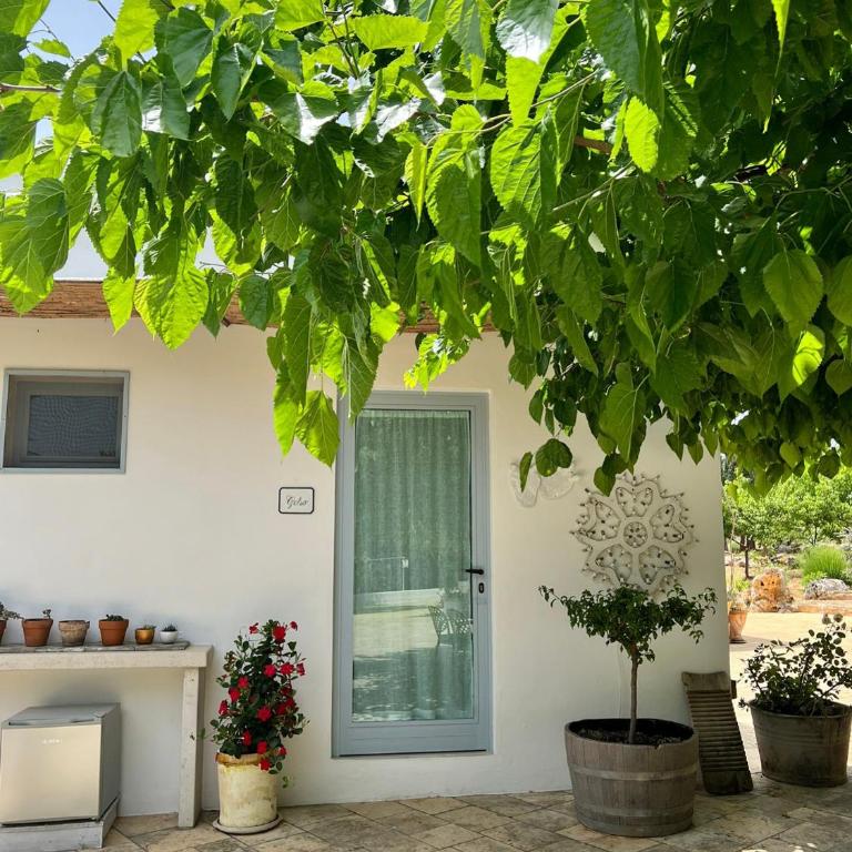Trullo Santangelo - Monolocale Deluxe - 9