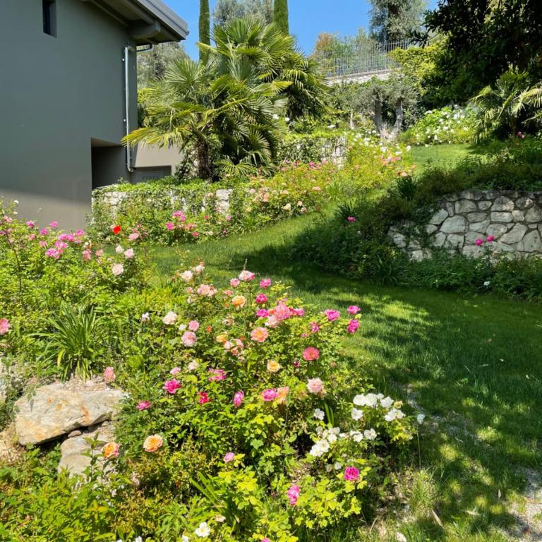 ARCOLIVE Agrisuite - Camera Deluxe Matrimoniale/Doppia con Letti Singoli con Vista Giardino - 25
